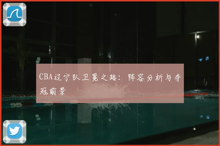 CBA辽宁队卫冕之路:阵容分析与夺冠前景
